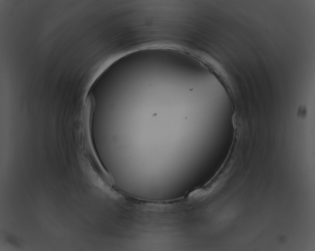 X0000091560860200708311413