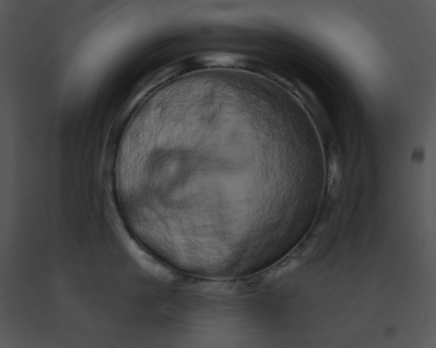 X0000091560861200708311413