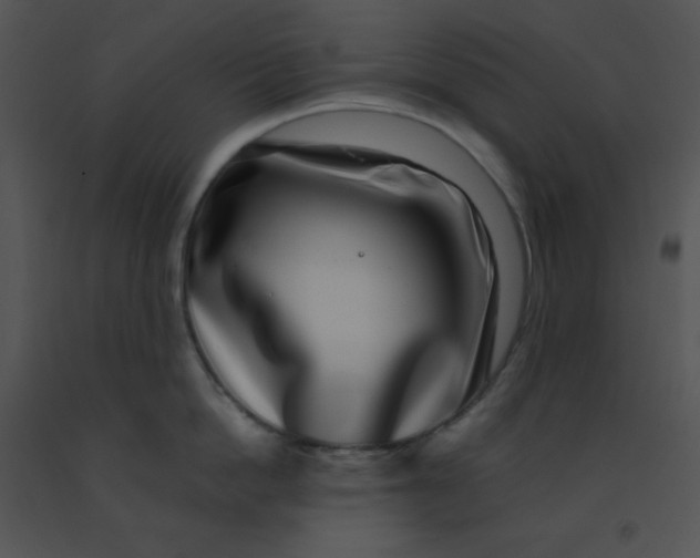 X0000091560862200708311413