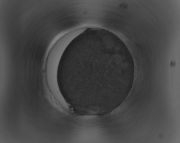 X0000091560864200708311413