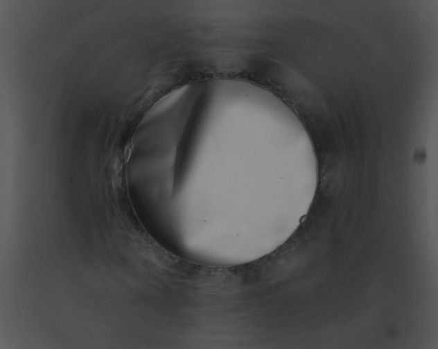 X0000091560866200708311413