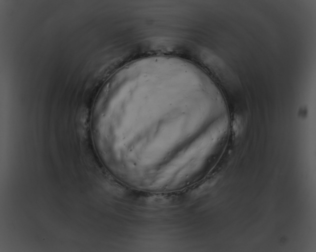 X0000091560867200708311413