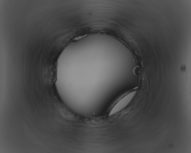 X0000091560868200708311413