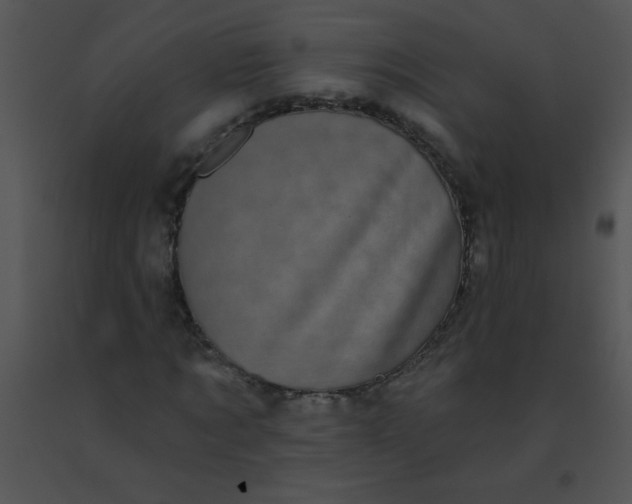 X0000091560869200708311413