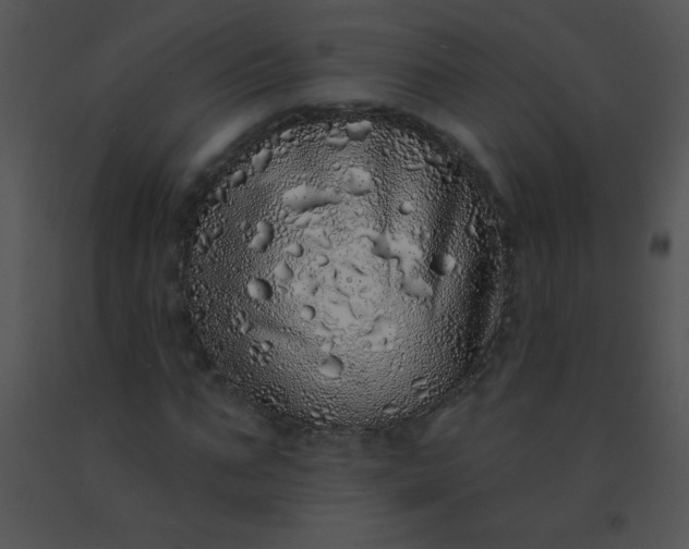 X0000091560871200708311413