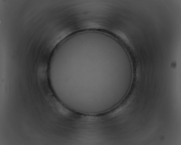 X0000091560873200708311413