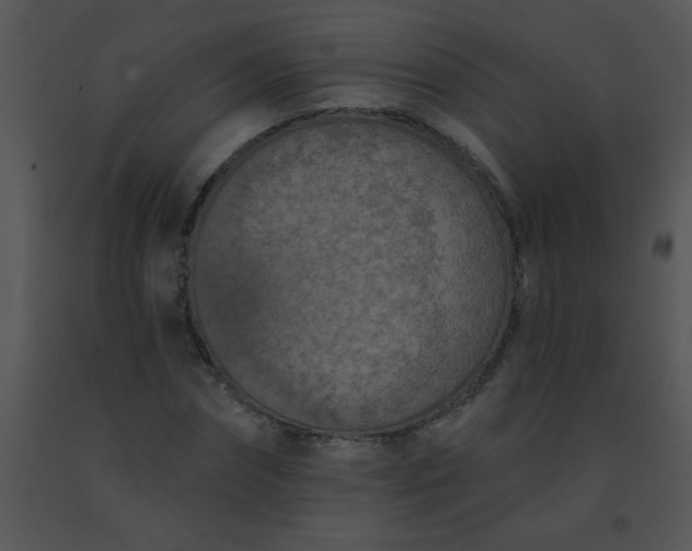 X0000091560874200708311413