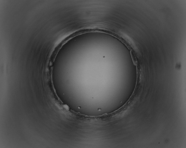 X0000091560876200708311413