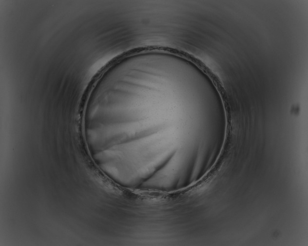 X0000091560879200708311412