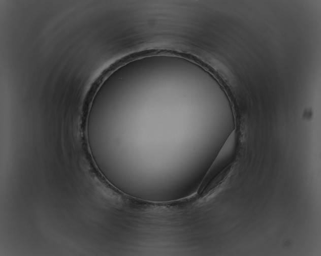 X0000091560880200708311412