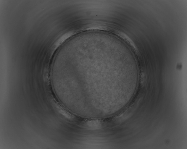 X0000091560882200708311412