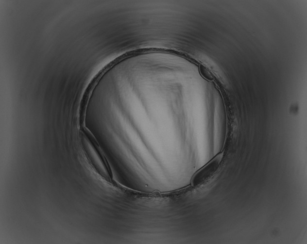 X0000091560884200708311412