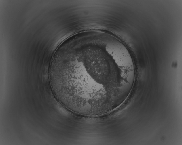 X0000091560889200708311412