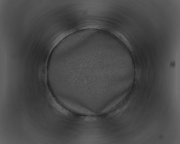 X0000091560890200708311412