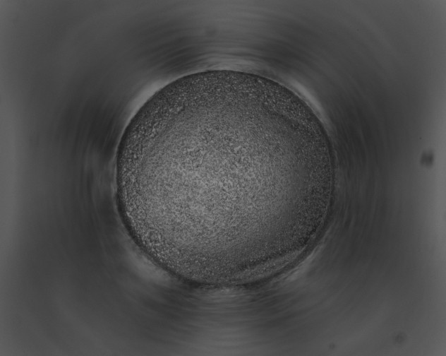 X0000091560891200708311412