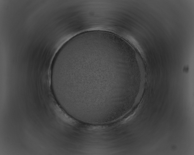 X0000091560892200708311412