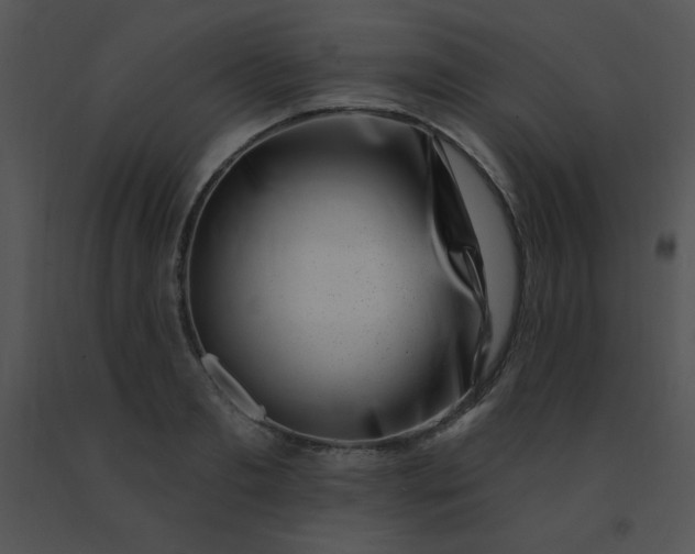 X0000091560893200708311412