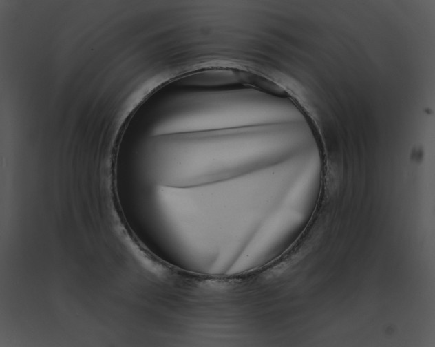 X0000091560898200708311412