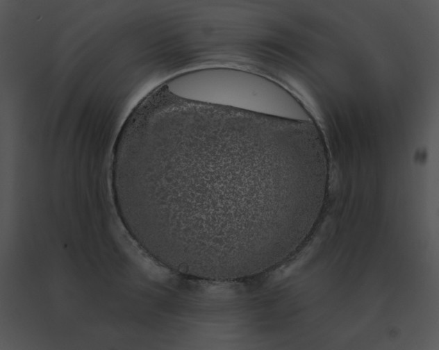 X0000091560899200708311412