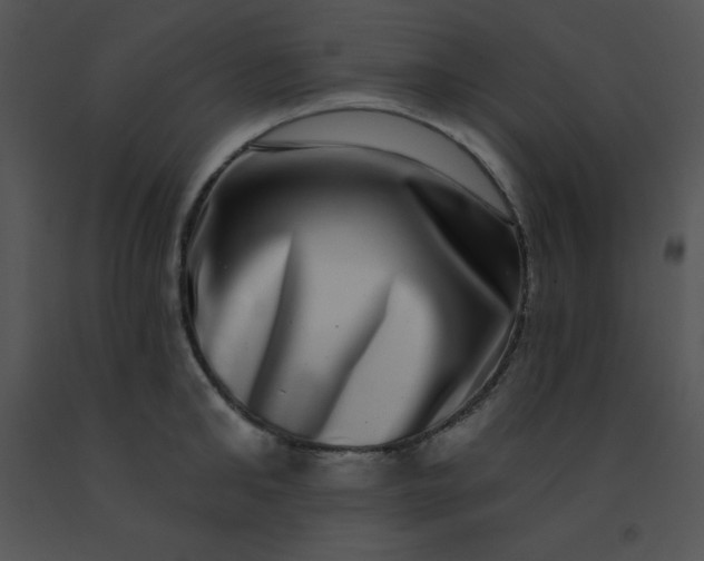 X0000091560902200708311412