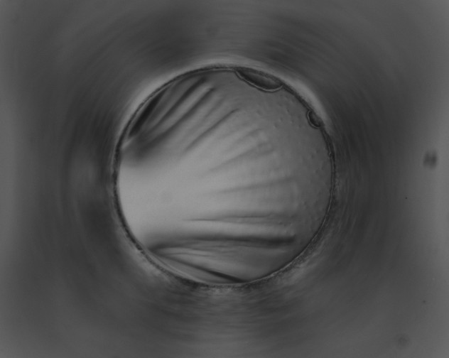 X0000091560903200708311412