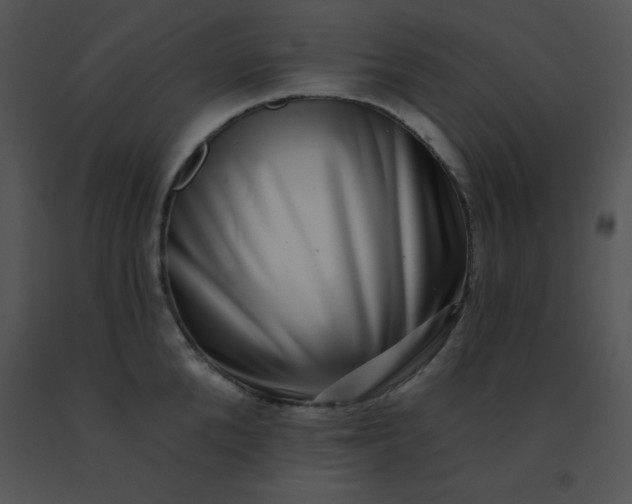 X0000091560904200708311412