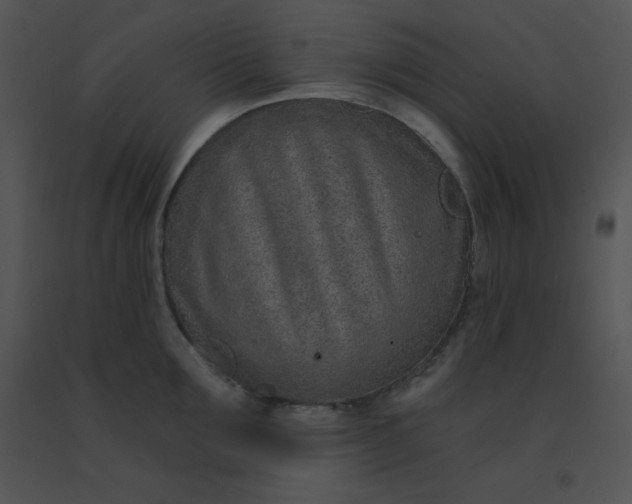 X0000091560907200708311412