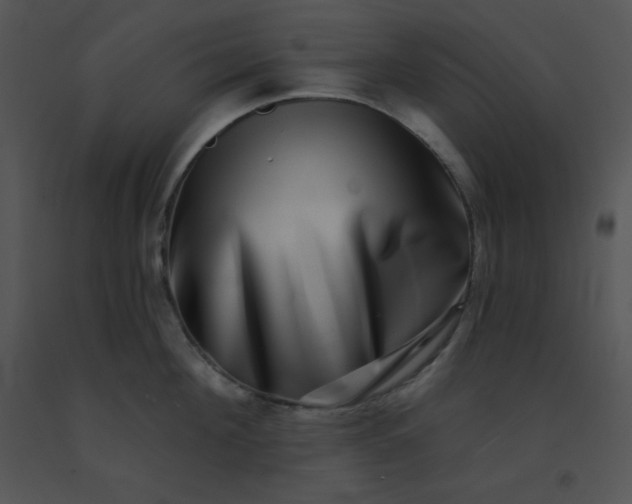 X0000091560908200708311412