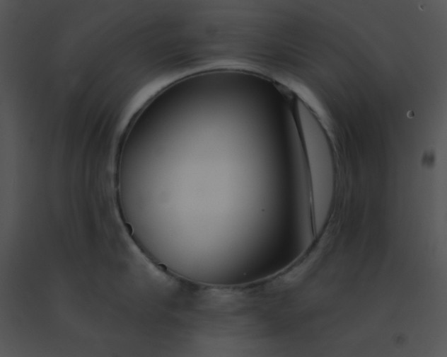 X0000091560910200708311412