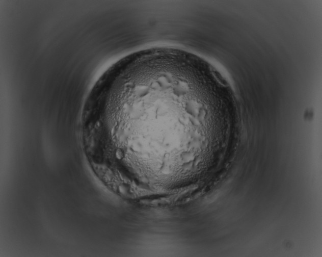 X0000091560911200708311412