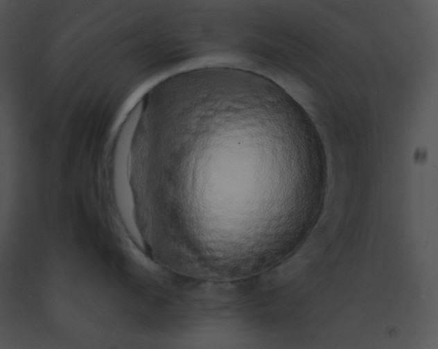 X0000091560912200708311412