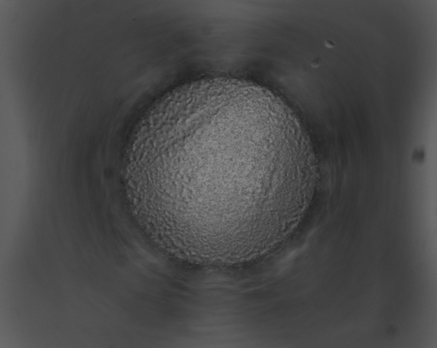 X0000091560913200708311411