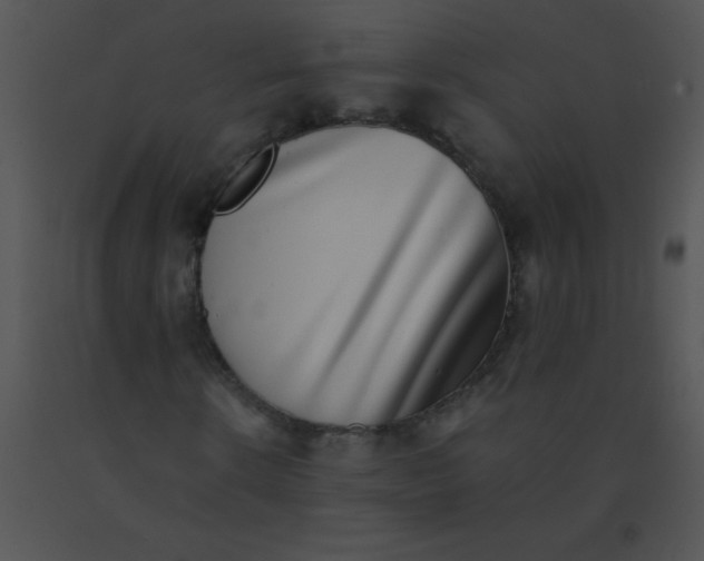 X0000091560914200708311411