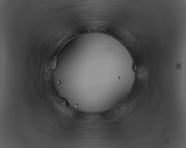 X0000091560915200708311411