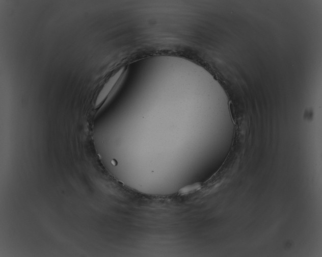 X0000091560916200708311411