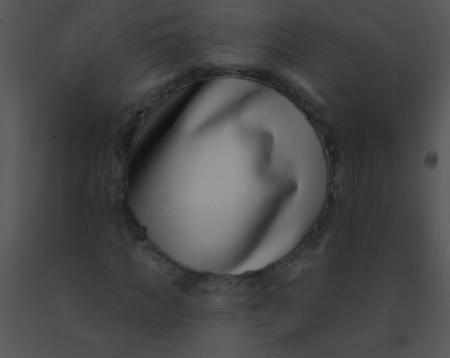 X0000091560917200708311411