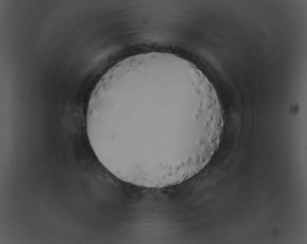 X0000091560918200708311411