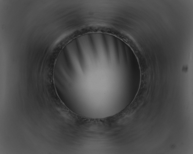 X0000091560919200708311411