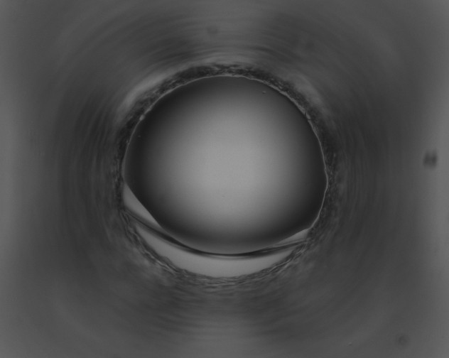 X0000091560920200708311411