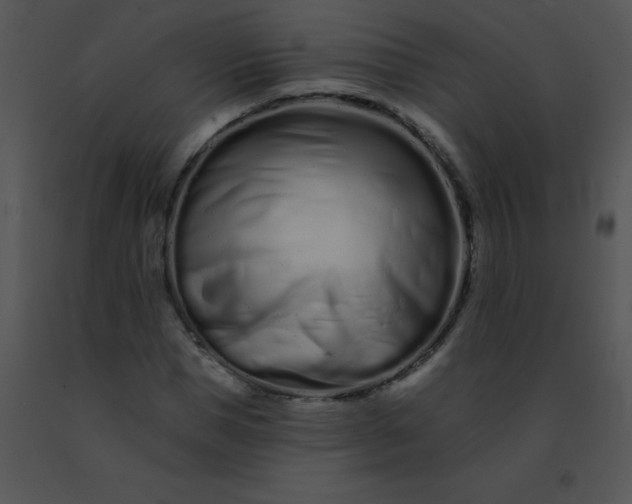 X0000091560921200708311411