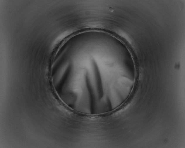 X0000091560922200708311411