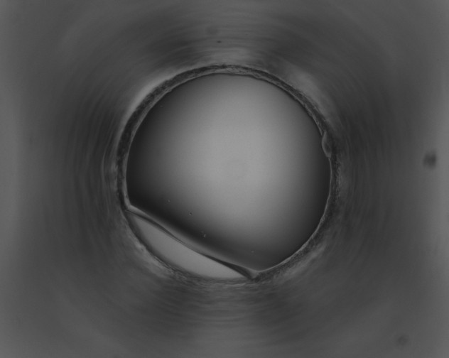 X0000091560924200708311411