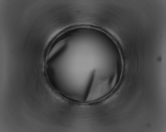 X0000091560925200708311411