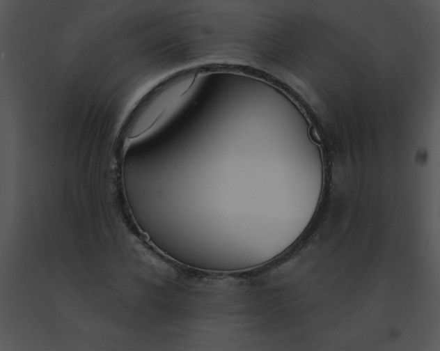 X0000091560926200708311411