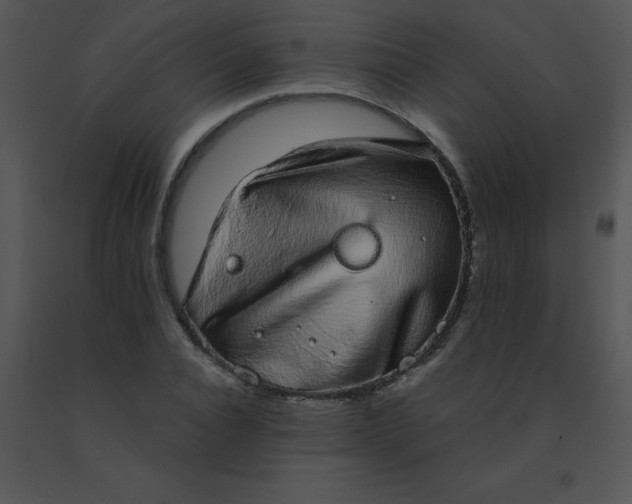 X0000091560928200708311411