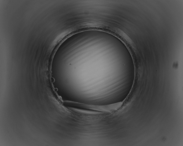 X0000091560930200708311411