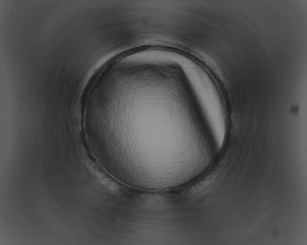 X0000091560931200708311412