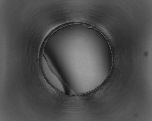 X0000091560932200708311412