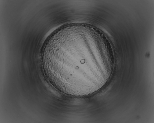 X0000091560933200708311412