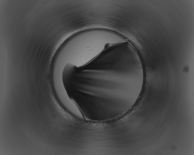 X0000091560934200708311412